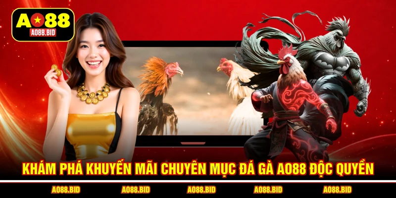 Khám phá khuyến mãi chuyên mục đá gà AO88 độc quyền