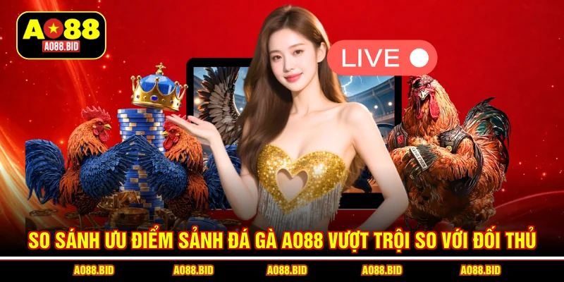 So sánh ưu điểm sảnh đá gà AO88 vượt trội so với đối thủ